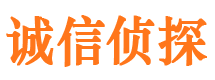 潮南侦探公司